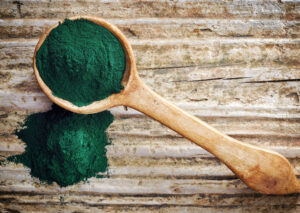 Chlorella