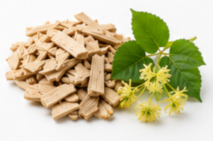 Linden Sapwood